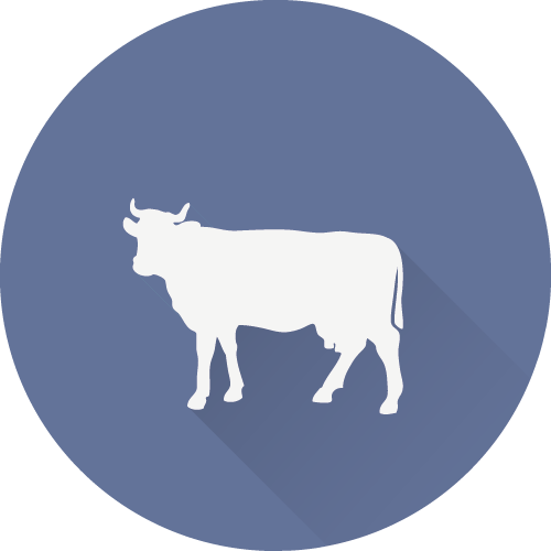 Bonta%20Calabresi