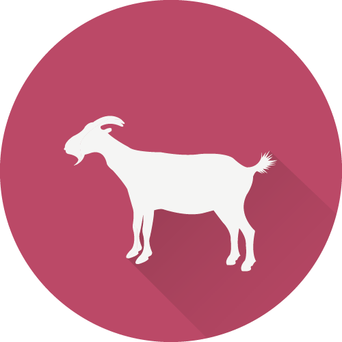 Bonta%20Calabresi